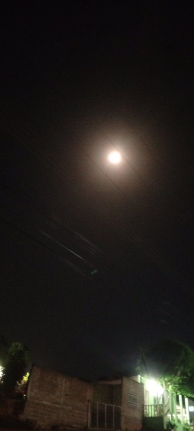 IMG_20240125_221526_521.jpg
