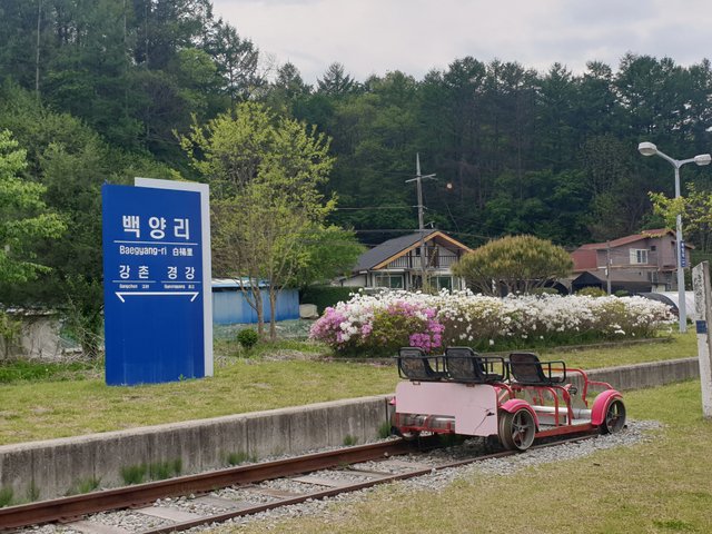 20250506_154347.jpg