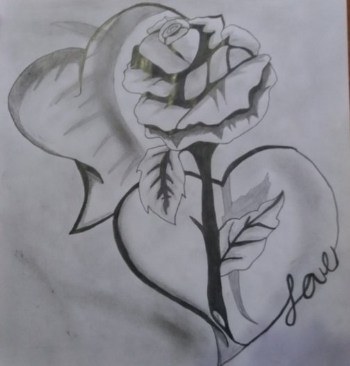 Dibujando Una Rosa Con Corazones.😍 — Steemit
