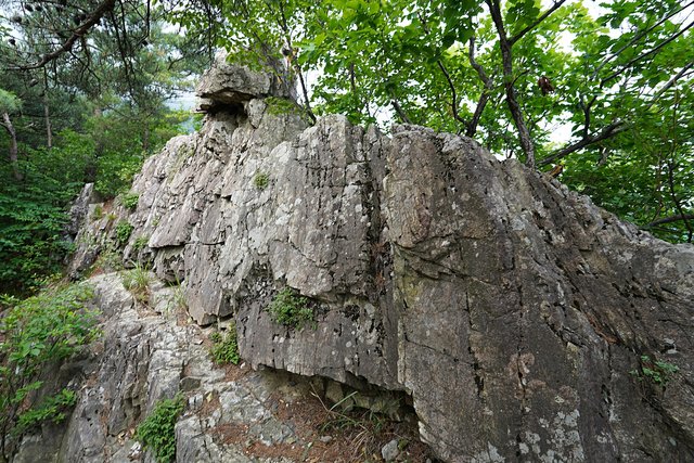 b-DSC07389.JPG