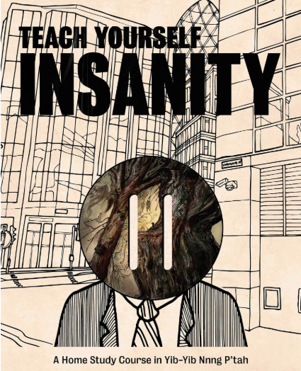 Teach Yourself Insanity by Darren Allen