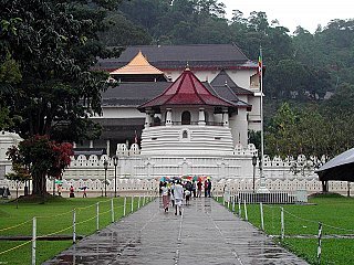 sacred-tooth-small (2).jpg