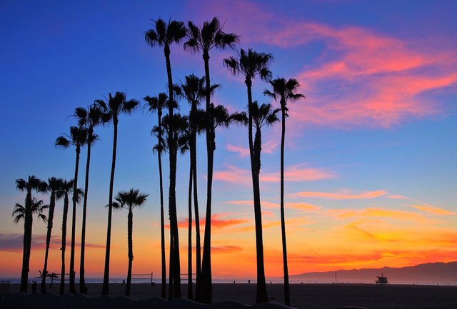 Venice Beach LA1.JPG