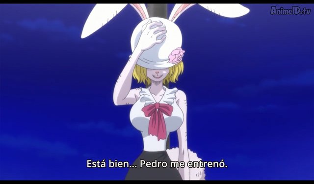 One Piece Capitulo 862 Descarga Steemit