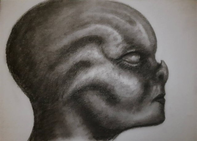 20250727_100651.jpg