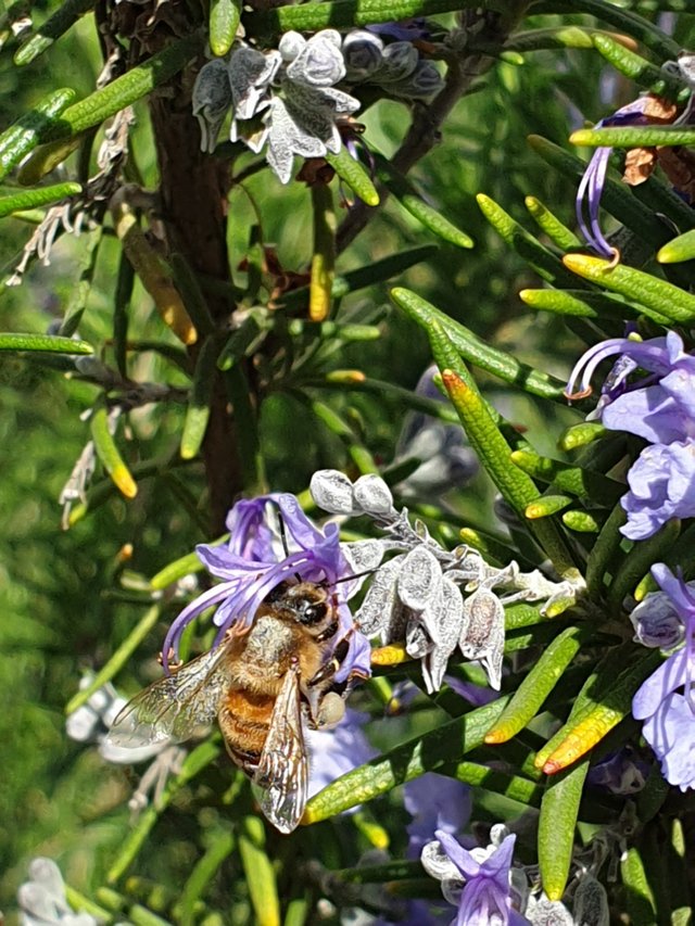 thumbnail_20250325_115632.jpg