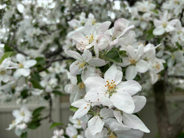 IMG_2824.jpeg