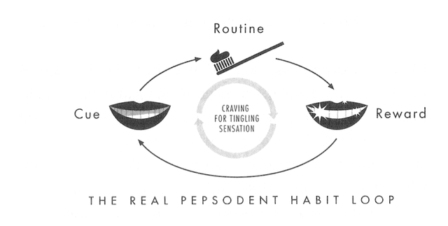 Pepsodent—Real Habit Loop.png