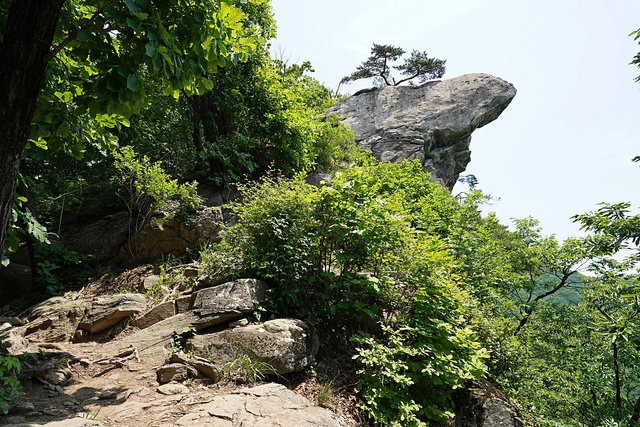 b-DSC04072.JPG