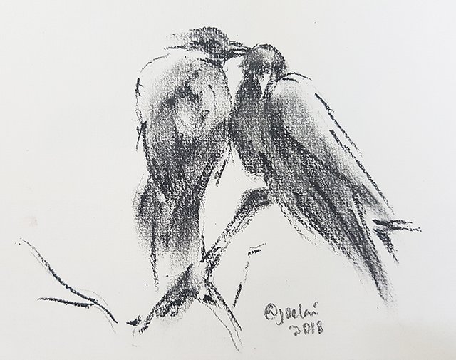 Raven Couple.jpg
