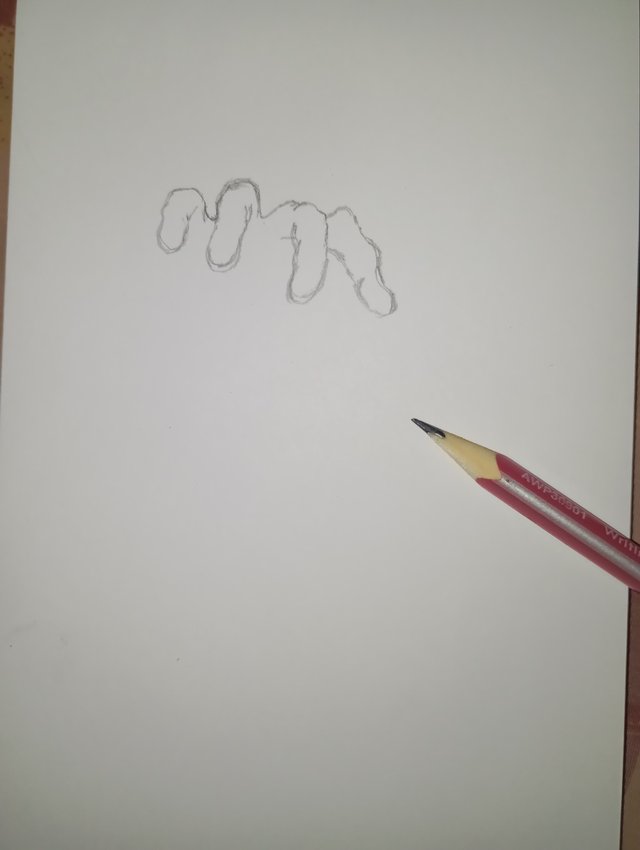 1000071244.jpg