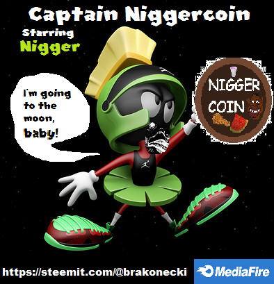 Captain Niggercoin.png