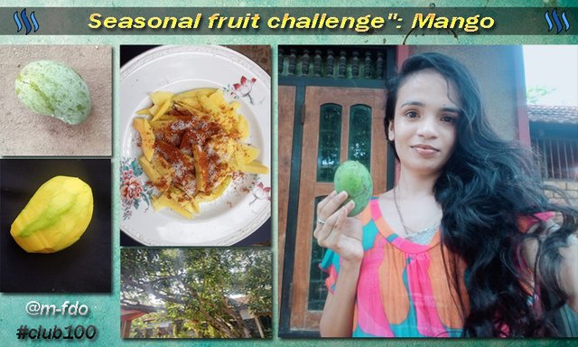 mango.jpg