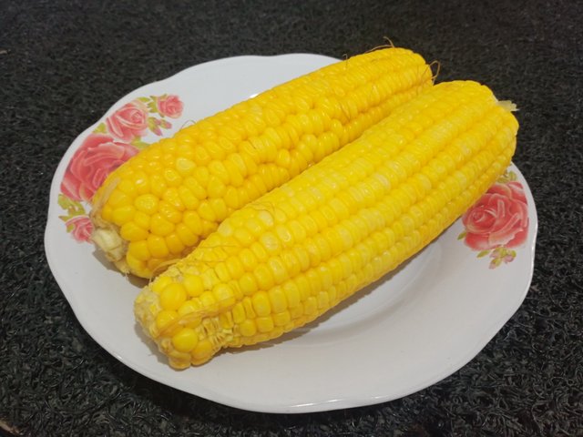 IMG20250427111023.jpg