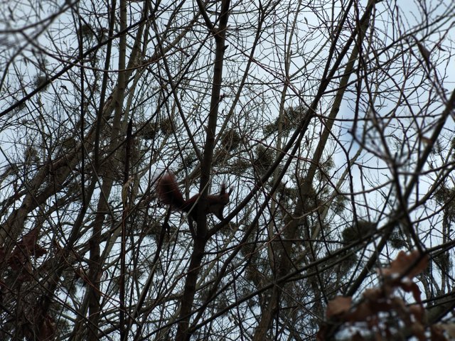 IMG_20191201_130341.jpg