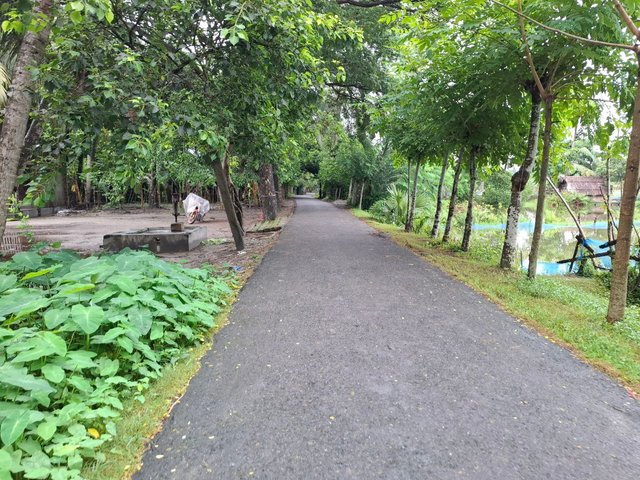 IMG_20250710_220450_661.jpg