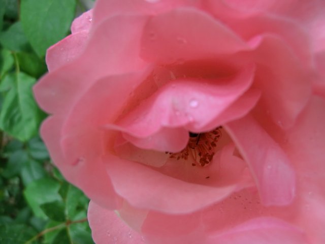 CIMG4544.JPG