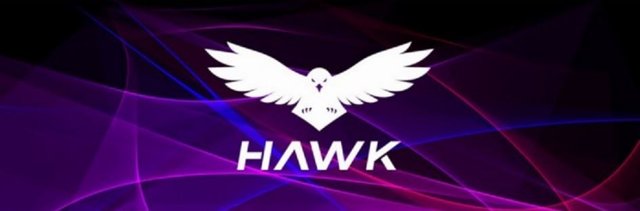hawk banner.JPG