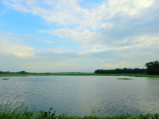 IMG-20230411-WA0003.jpg