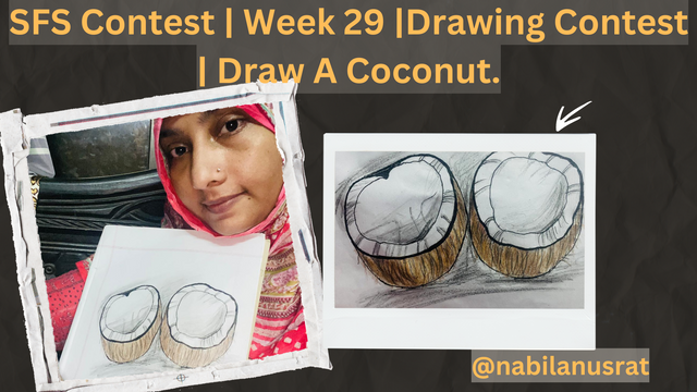 SFS Contest  Week 29 Drawing Contest  Draw A Coconut..png