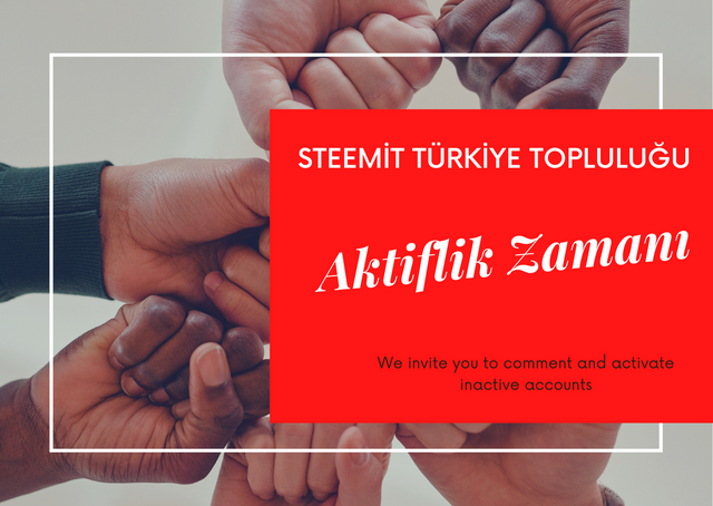 Steemit Türkiye topluluğu.png