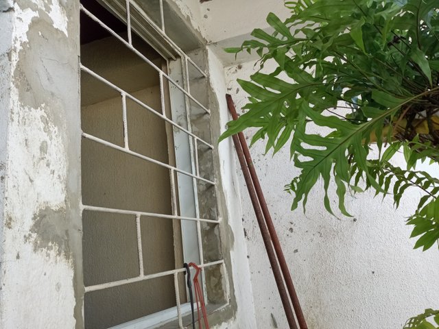 IMG_20250910_150717.jpg