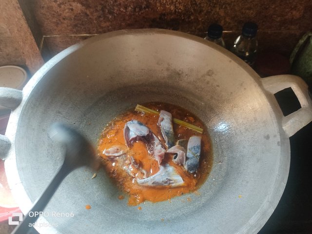 IMG20250704125711.jpg