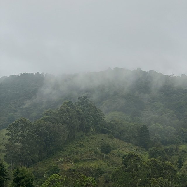 930D4756-EAE1-4800-9671-D243B8BC5E00.jpg
