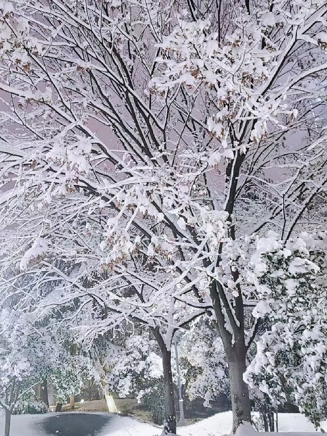 ❄️广东人必去｜高铁2h直达，不去北方也能看雪_3.jpg