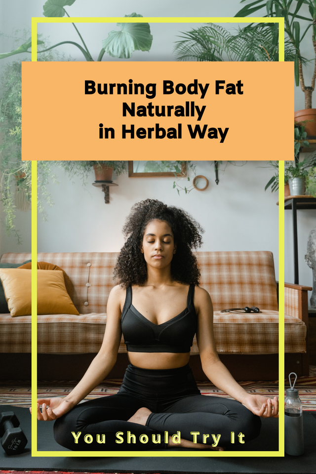 Burning Body Fat Naturally in Herbal Way.png