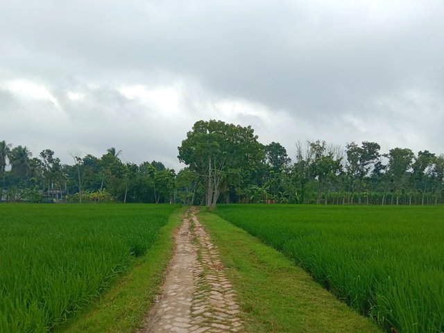 IMG_20250924_100633.jpg