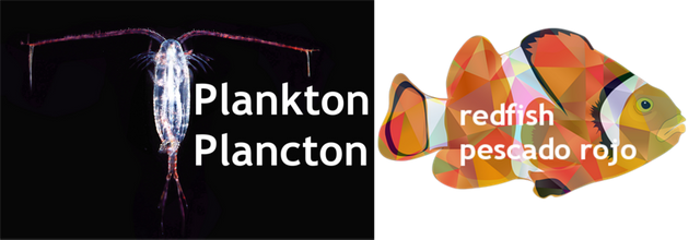 plankton_redfish.png