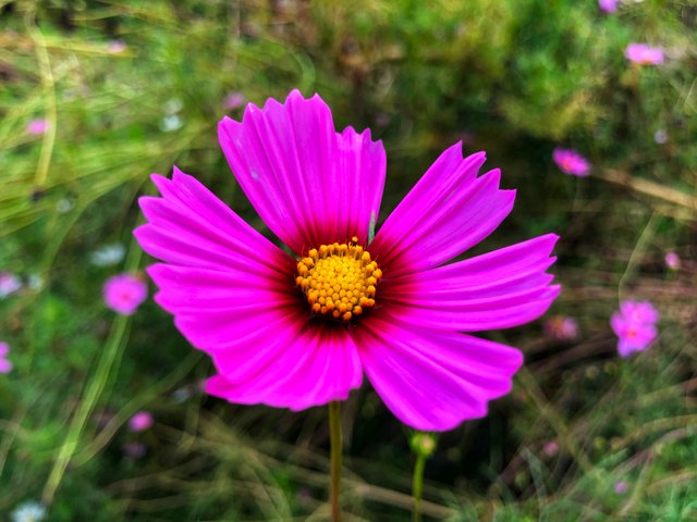 IMG_1724-01.jpeg
