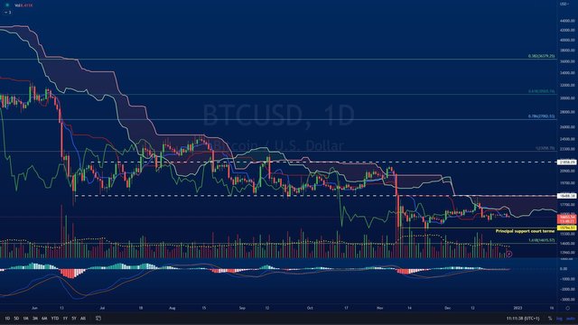 Bitcoin-graphique-journalier.jpg