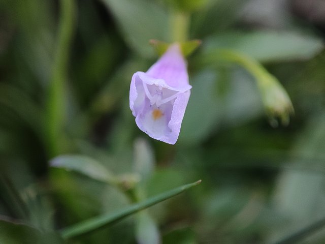 IMG_20250801_182325.jpg