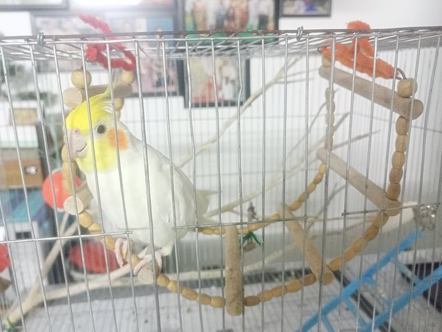 IMG20250606192958.jp