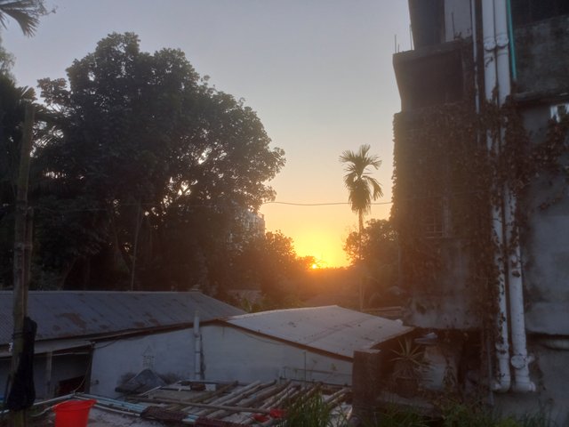 IMG20250302174801.jpg