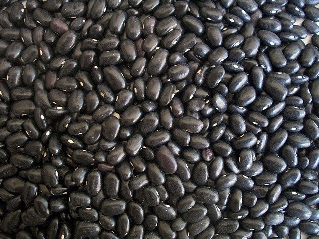 black-beans-14522_640.jpg