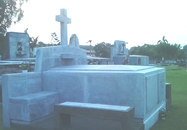 cemeterywcat6.jpg