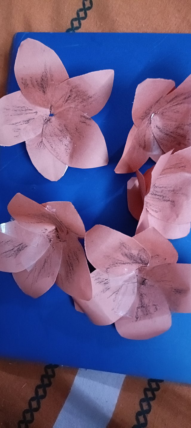 IMG20240124091134.jpg