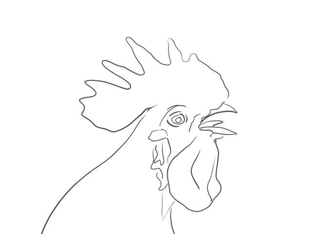 rooster(690).jpg
