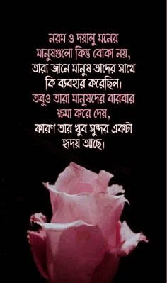 Shayari bengali photo (5).jpg