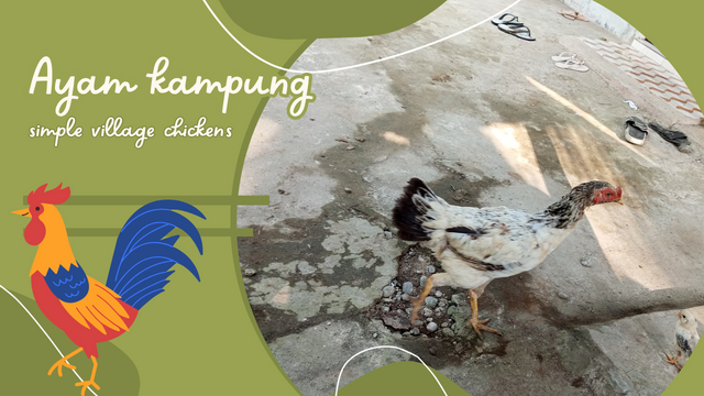 Hijau Ilustrasi Berpetualang ke Pulau Komodo YouTube Thumbnail_20250701_221340_0000.png