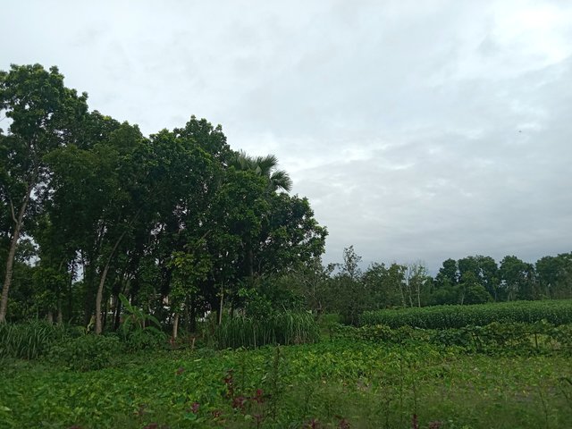 IMG_20250531_223338.jpg
