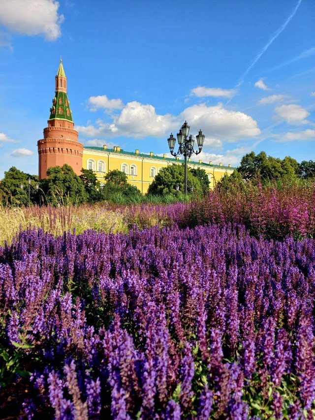 1000064987.jpg