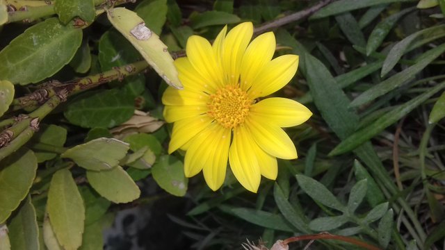 20190726_153139.jpg