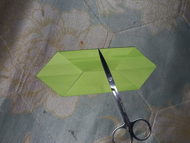 20250512_200115.jpg