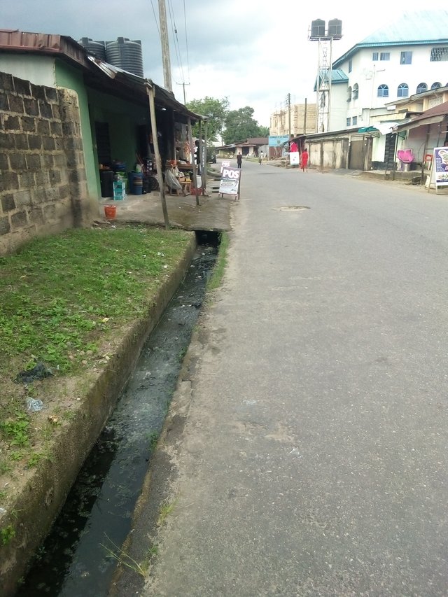 IMG_20251011_164219_150.jpg