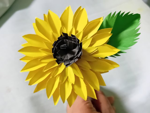 1000043915.jpg