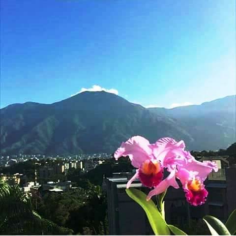 Montañas dsede vent.jpg